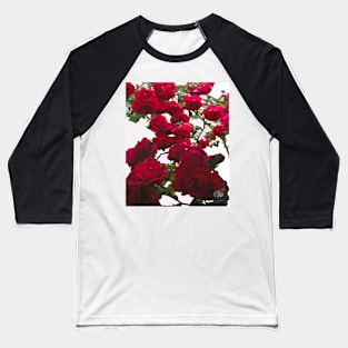 Queens red roses 2 - Flowers Baseball T-Shirt